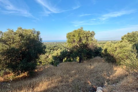 Landejendom i Cisternino, Brindisi, Cisternino - € 1.111.111 | Ref: 381 - foto 19